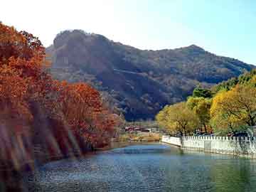 新澳天天开奖资料大全旅游团，机场停车